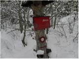 Na kopiš - Planina Zgornja Konjščica